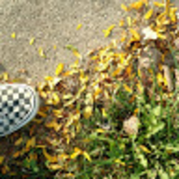 Meet your Posher, Danni - Picture 1 of 1